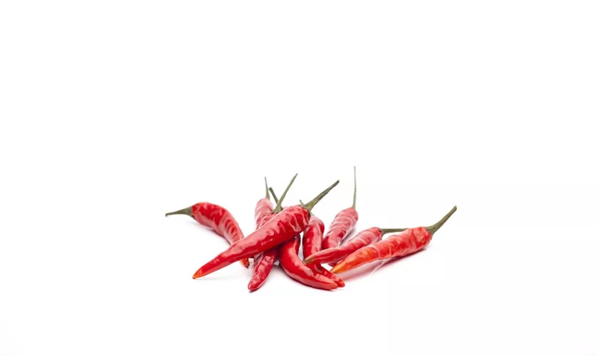 Spanischer Pfeffer 'Hot Red'