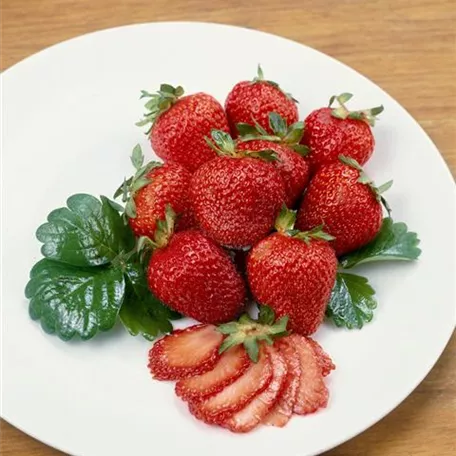 Erdbeere 'Fresca'
