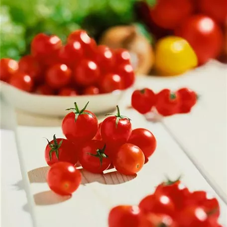 Cherry-Tomate 'Mühls Mini'
