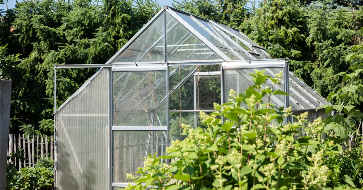 Ein Gewächshaus anlegen Floragard