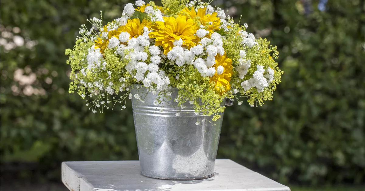 Schnittblumen aus dem eigenen Garten den Garten ins Haus holen Floragard