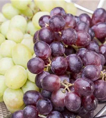 Warum Wein eigentlich aus Beeren gemacht wird