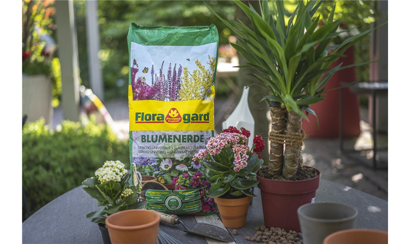 Floragard Blumenerde Floragard Shop