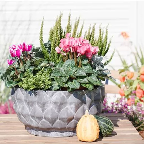 Aus alt mach neu: Blumenkübel nicht wegwerfen! Aus alt mach neu: Blumenkübel nicht wegwerfen!