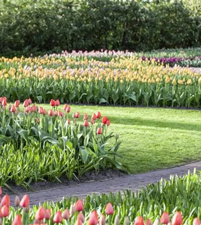 Gartenräume optimal gestalten