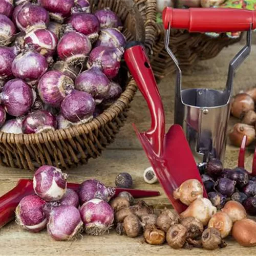 Gartenzubehör – kleine Helfer bei der täglichen Gartenarbeit 