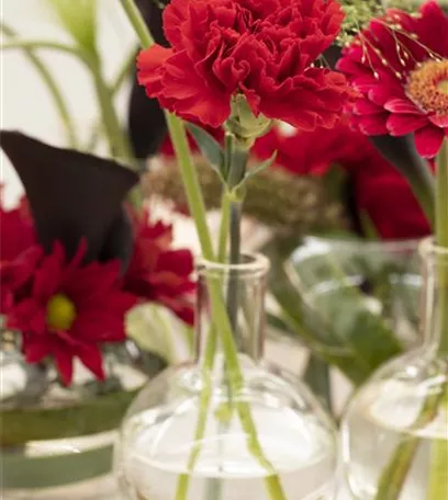Schnittblumen - was hilft wirklich?