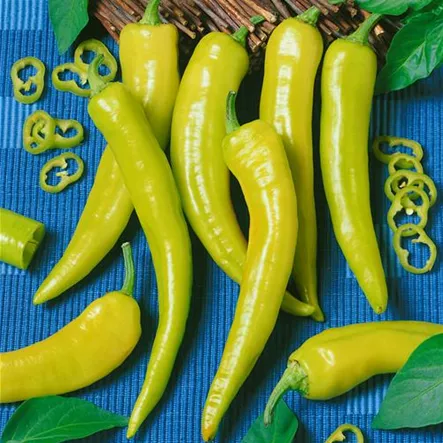 Chili 'Hot Banana' Chili 'Hot Banana'