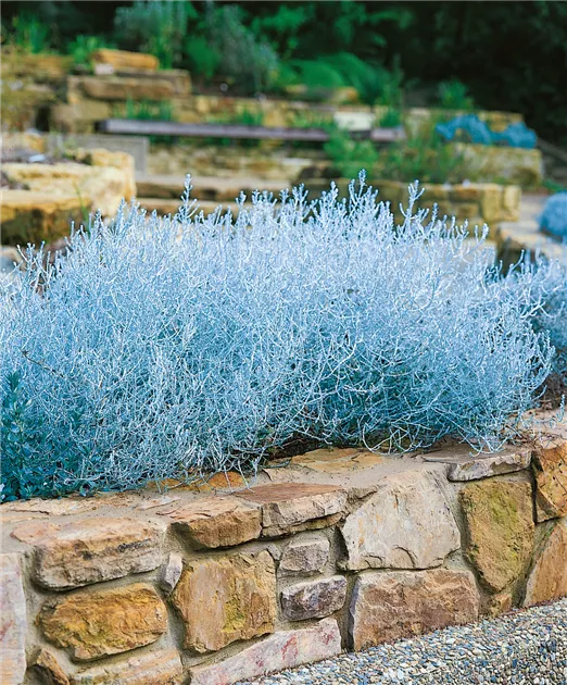 künstlicher tannenbaum günstig kaufen Weihnachten künstlicher Tannenbaum mit Lichterkette 90 cm hoch Lillyano main image 1