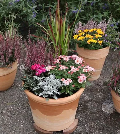 Möchten Sie Ihren Garten umstylen? So geht es ganz schnell 
