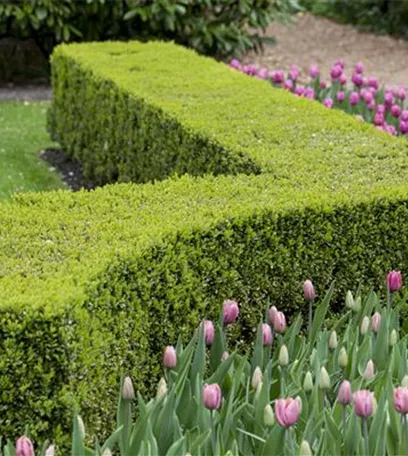 Gartenräume optimal gestalten