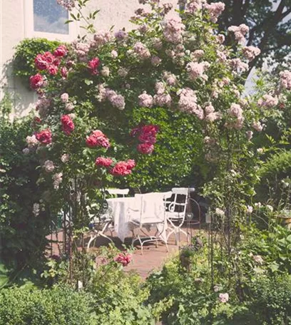So werden Cottage-Träume wahr