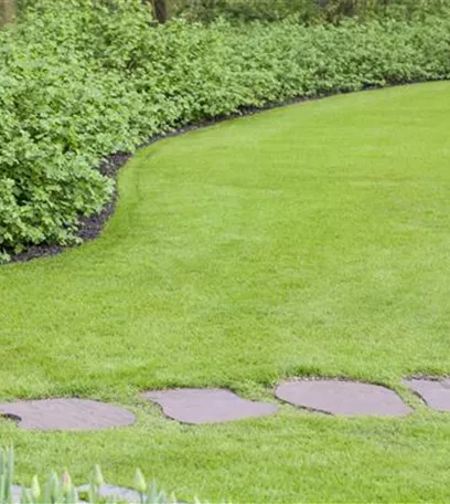 Sie sind bewegend! Wege, die durch den Garten führen.