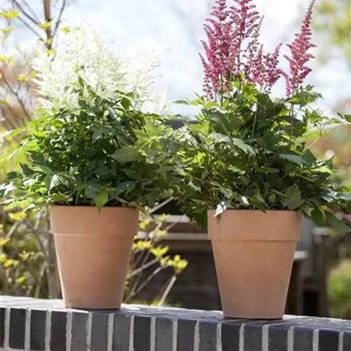Garten to go: ungewöhnliche Pflanzgefäße im mobilen Garten