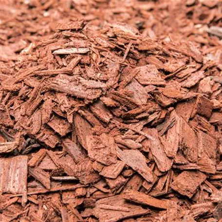 Der Mulch macht’s Der Mulch macht’s