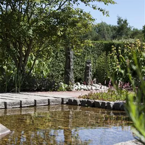 Der Wassergarten - Harmonie und Bewegung zugleich
