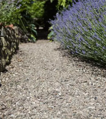 Von Artischocke bis Zucchini: alles für den Bauerngarten