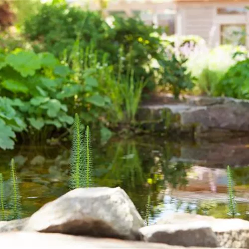 Findlinge im Garten - Sitzgelegenheit, Wasserfall oder Dekoelement