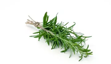 Bildvorschau