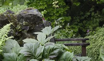 Bildvorschau