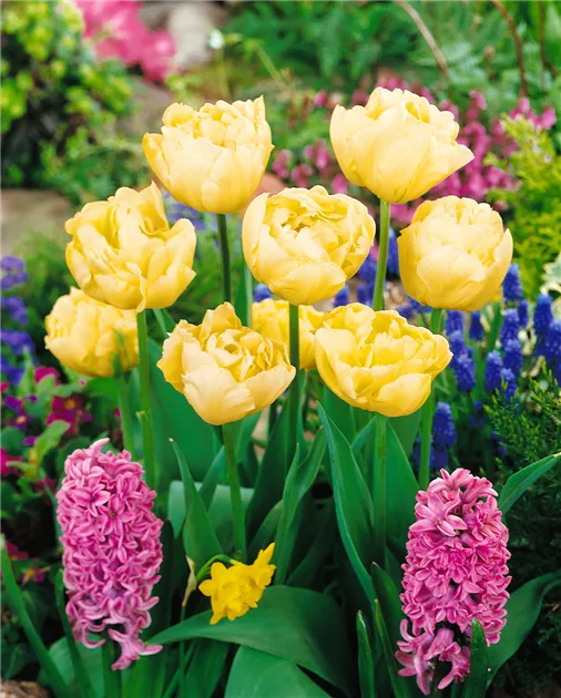 Italienisches Charm-Anhänger – 9 Mm Tulpe Im Blumentopf, Gelb, Für Klassische Charm-Arme