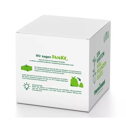 Floragard Aktiv Tomaten- und Gemüseerde in der Box 60 Liter Floragard Aktiv Tomaten- und Gemüseerde in der Box 60 Liter