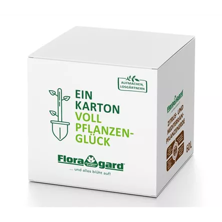 Floragard Zitrus- und Mediterranpflanzenerde in der Box 60 Liter Floragard Zitrus- und Mediterranpflanzenerde in der Box 60 Liter