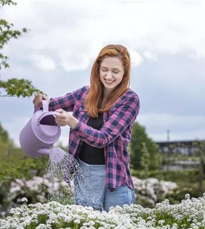 Frühling ist Pflanzzeit – ab in den Garten!