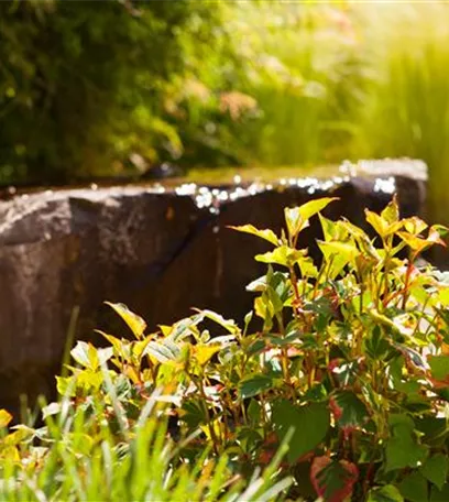 Findlinge im Garten - Sitzgelegenheit, Wasserfall oder Dekoelement