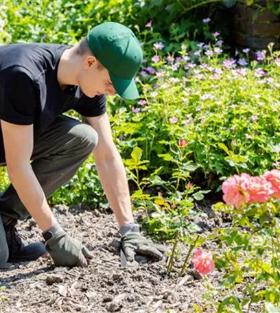 Schöne neue Welt – Automatisierung im Garten