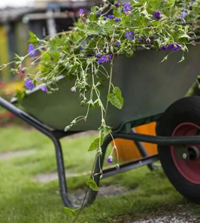 Ordnung im Garten