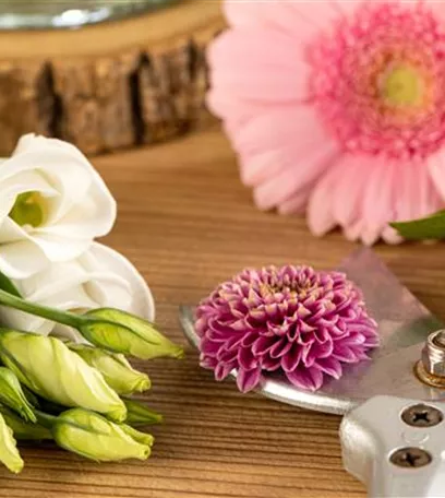 Schnittblumen - was hilft wirklich?
