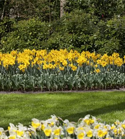 Das richtige Blumenbeet: eine Frage des Geschmacks
