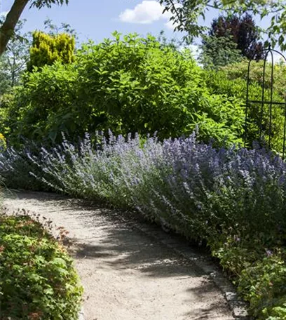 Sie sind bewegend! Wege, die durch den Garten führen.
