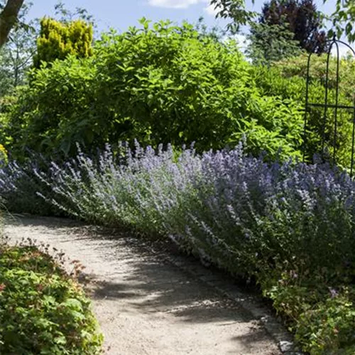 Sie sind bewegend! Wege, die durch den Garten führen.
