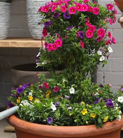 Hanging Baskets, die Alternative zum Beet