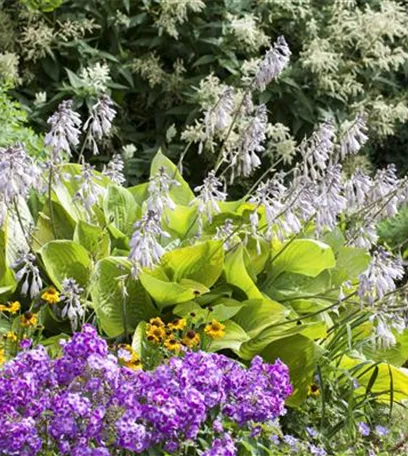 Das Staudenbeet – ein Blütenmeer im Garten