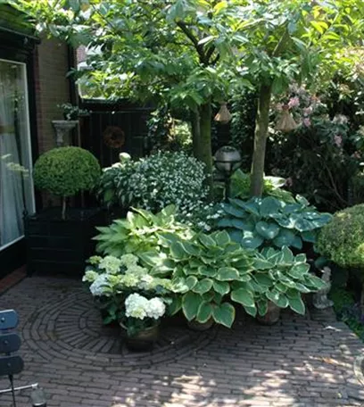Schattengarten – Tipps zur Gestaltung