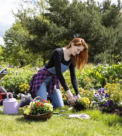 Alles auf Anfang – ein Blumenbeet anlegen