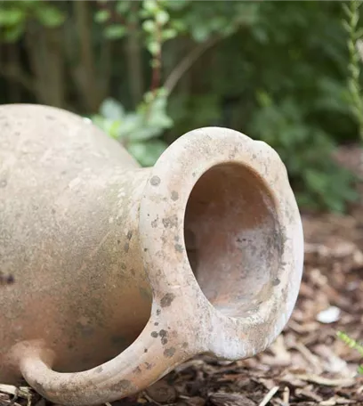 Möchten Sie Ihren Garten umstylen? So geht es ganz schnell 