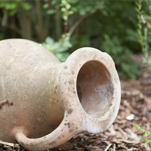 Möchten Sie Ihren Garten umstylen? So geht es ganz schnell 