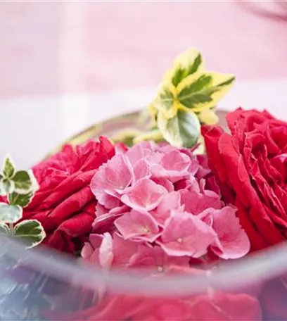 Wellness für die Nase: Düfte für Beet und Beauty Wellness für die Nase: Düfte für Beet und Beauty