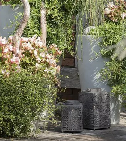 Akzente setzen - Beleuchtung im Garten Akzente setzen - Beleuchtung im Garten