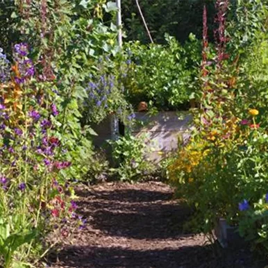 Gartengestaltung - Bauerngarten Gartengestaltung - Bauerngarten
