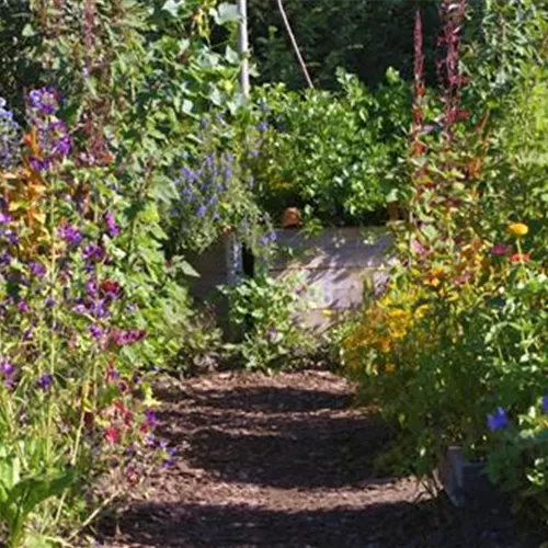 Gartengestaltung - Bauerngarten Gartengestaltung - Bauerngarten