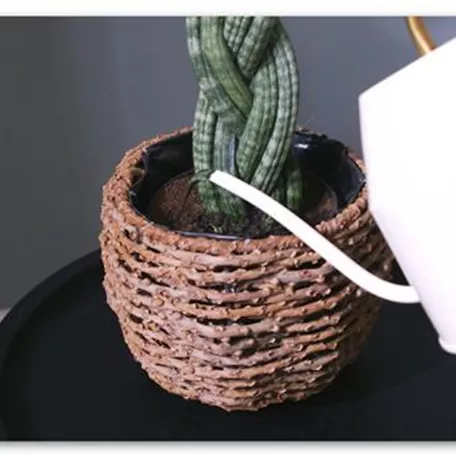 Bogenhanf "Spaghetti" geflochten - Umtopfen