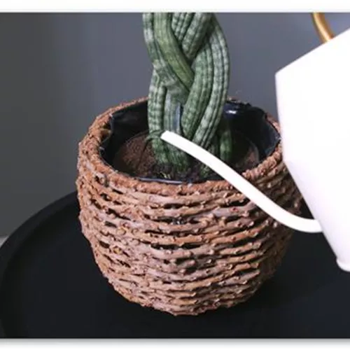 Bogenhanf "Spaghetti" geflochten - Umtopfen