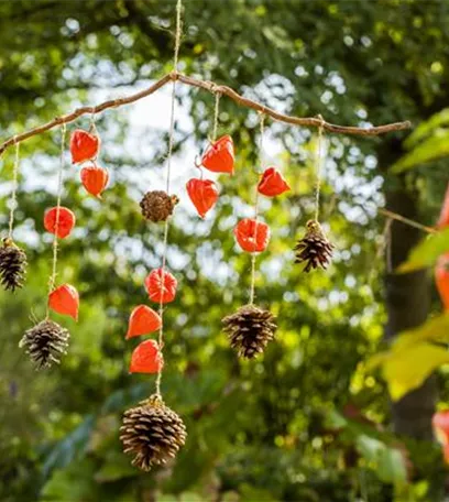 Ein herbstliches Windspiel aus Physalis und Tannenzapfen