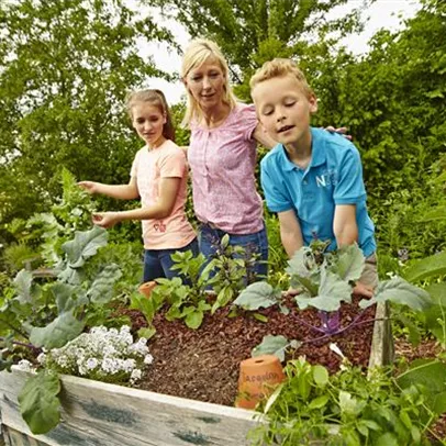 Vegan und bio im eigenen Garten Vegan und bio im eigenen Garten