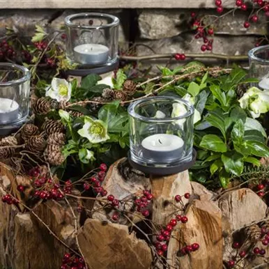 Adventskranz gestalten